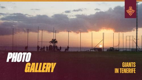 Giants in Tenerife: Photo Gallery